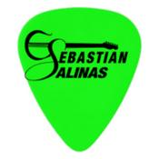 Sebastián Salinas Guitarra
