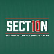 Section 10