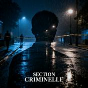Section Criminelle