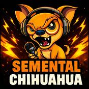 Semental Chihuahua