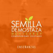 Semilla Monterrey