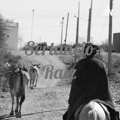 Sertanejo Raiz