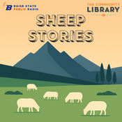 Sheep Stories