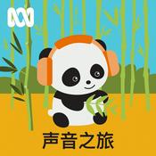 声音之旅