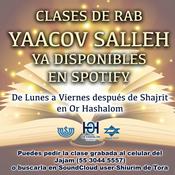 Shiurim de Torá