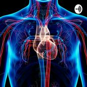 Sistema Cardiovascular