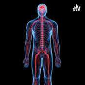 Sistema Nervoso - de forma simples