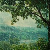 Sleepy Whispers - ASMR for Deep Rest