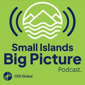 Small Islands Big Picture