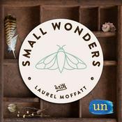 Small Wonders