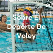 Sobre El Deporte De Voley
