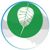 Somatic Primer Podcast