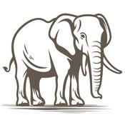 Spirit of Madikwe - Africa's Majesty