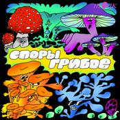 Споры грибов