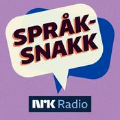 Språksnakk