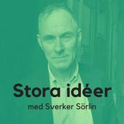 Stora idéer med Sverker Sörlin