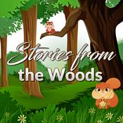 Stories from the Woods - Original Children's Stories Podcast