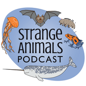 Strange Animals Podcast