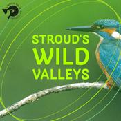 Stroud's Wild Valleys