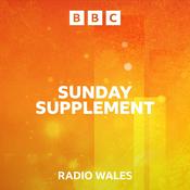 Sunday Supplement