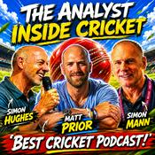The Analyst Inside Cricket