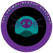 The Animal Rescue Podcast: what you always wanted to know but didn’t know who to ask