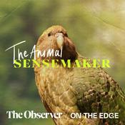 The Animal Sensemaker