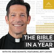 The Bible in a Year (with Fr. Mike Schmitz)
