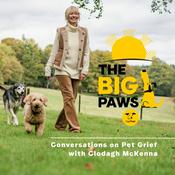 The Big Paws Podcast