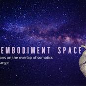 The Embodiment Space