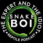 The Expert and The Idiot - A Reptile Podcast