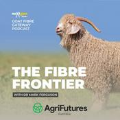 The Fibre Frontier