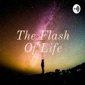 The Flash Of Life