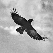 The Ghosts of Harrenhal: A Song of Ice and Fire Podcast (ASOIAF)