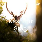 The Kashmir Stag.