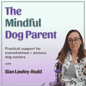 The Mindful Dog Parent: Dog Training Advice & Calm Support for Overwhelmed Owners