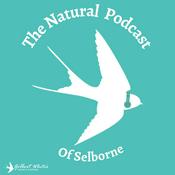 The Natural Podcast of Selborne