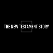 The New Testament Story