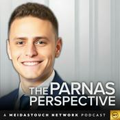 The Parnas Perspective