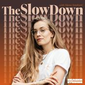 THE SLOW DOWN