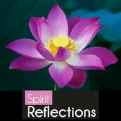 Spirit Reflections