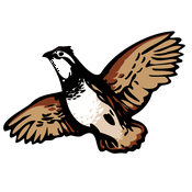 The Sporting Life Notebook Podcast