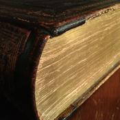 The Story of the Bible