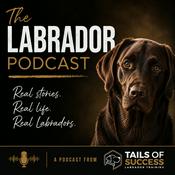 The Labrador Podcast - From Tails of Success Labrador Training