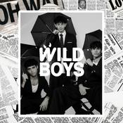 The Wild Podcast