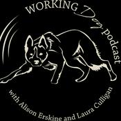 The Working Dog Podcast