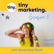 Tiny Marketing: Marketing and Sales Systems for Independent Consultants