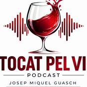 Tocat pel vi