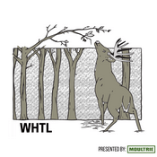 The WHTL Podcast - Whitetail Deer Hunting Tactics, Stories & Expert Guests
