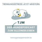 Trennungsstress Jetzt Meistern | Der Hundepodcast mit Tine, Jenny &amp; Milo